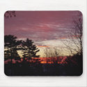 17 January 2010 mousepads