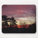 17 January 2010 mousepads