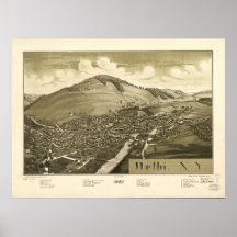1887 Delhi, NY Birds Eye View Panoramic Map Print