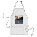 18 February 2010 Apron
