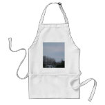 18 January 2010 Apron
