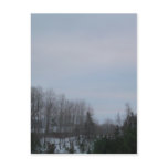 18 January 2010 Post Cards