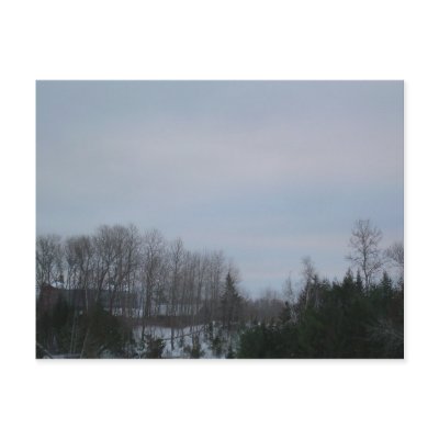 18 January 2010 by NiftyMorning