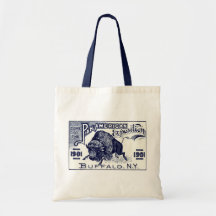 1901 Pan-American Expo Canvas Bags