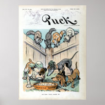 1903 Cats and dogs Puck political cartoon Posters