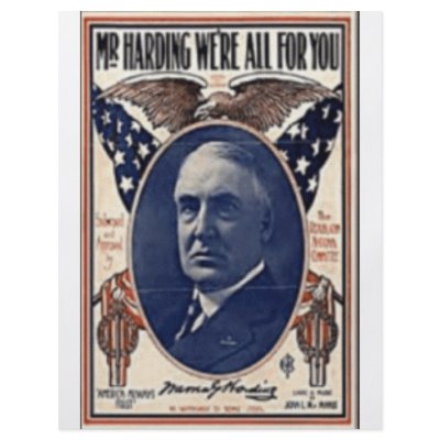 1920 Harding Personalized Flyer by JustProducts