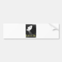 1920s4 bumper sticker