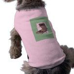 1920s Wind Up Gramaphone pet clothing