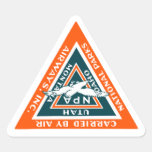 1925 National Parks Airways Triangle Sticker