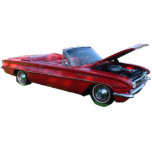 1962 Buick Special Photo Sculpture