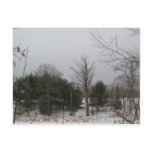 19 January 2010 Postcard