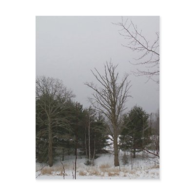 19 January 2010 by NiftyMorning