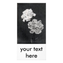 19th C.  Carnations Photo Card Template