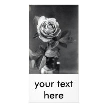 19th C.  Rose Photo Greeting Card