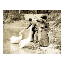 19th C. Swans in Paris Postcards