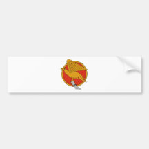 1/52 Escadrilles Reconnaissance Bumper Stickers