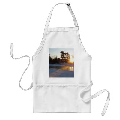 1 January 2010 Aprons by NiftyMorning