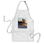 1 January 2010 Aprons