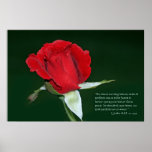1 Juan 4:18 con Rosa Don Juan Poster