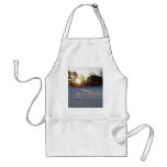 1 March 2010 aprons