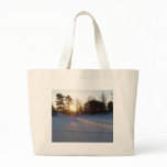 1 March 2010 bags
