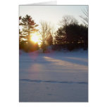 1 March 2010 cards