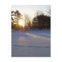1 March 2010 postcards
