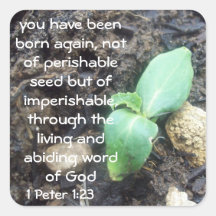1 Peter 1:23 Square Sticker
