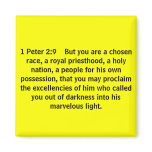 1 Peter 2:9    But you are a chosen race, a roy... magnets