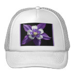 1 Pretty Purple Columbine Hat