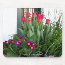 1 Primrose Tulips Mousepads