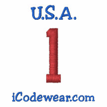 1 USA EMBROIDERED HOODIES