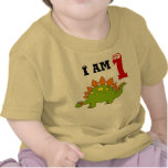1st birthday party gift, dinosaur stegosaurus t shirt