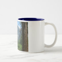 2005 may yosemite 198, Yosemite ValleyPhoto by ... Coffee Mug