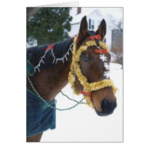 2005 OMRH Christmas Card Photo Third Place Winner
