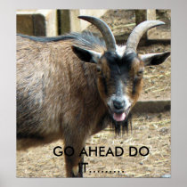 20080606_430, GO AHEAD DO IT......... POSTER