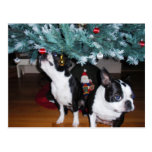 2010-12-December Post Card