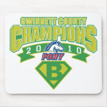 2010 Gwinnett County Champions Mouse Pad