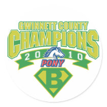 2010 Gwinnett County Champions Round Sticker