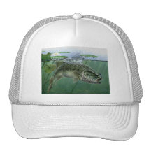 2010 National Best of Show by A. Hunter Trucker Hats
