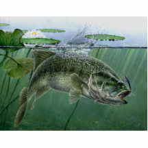 2010 National Best of Show by A. Hunter Photo Cutout