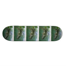 2010 National Best of Show by A. Hunter Skateboard