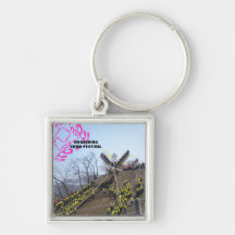 2010 ONBASHIRA festival SUWA Japan Key Chains
