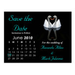 2010 Save the Date, Wedding Announcement Post Card