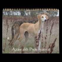 2011 Azawakh Calendar calendars