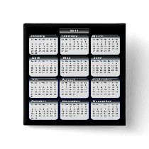 2011 Calendar Pin