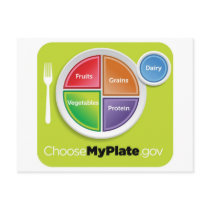 2011 Food Pyramid Choose My Plate postcard