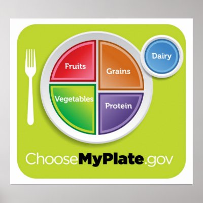 2011 Food Pyramid Choose My Plate poster by afterschoolspecial