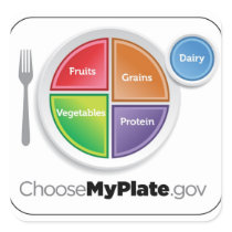 2011 Food Pyramid Choose My Plate sticker