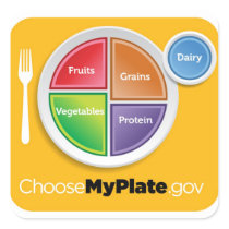 2011 Food Pyramid Choose My Plate sticker